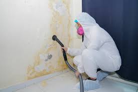 Best HVAC Mold Inspection and Cleaning  in Acton, CA